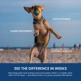 Rewoof Hip & Joint Chews