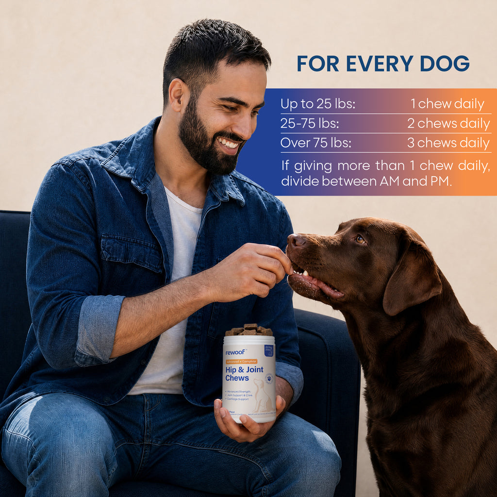Hip & Joint Chews (SB)