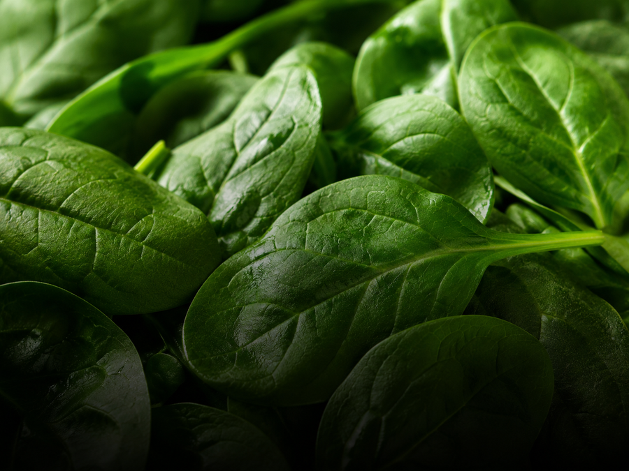 Manganese active ingredient
