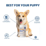 Rewoof Hip & Joint Chews