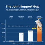 Rewoof Hip & Joint Chews