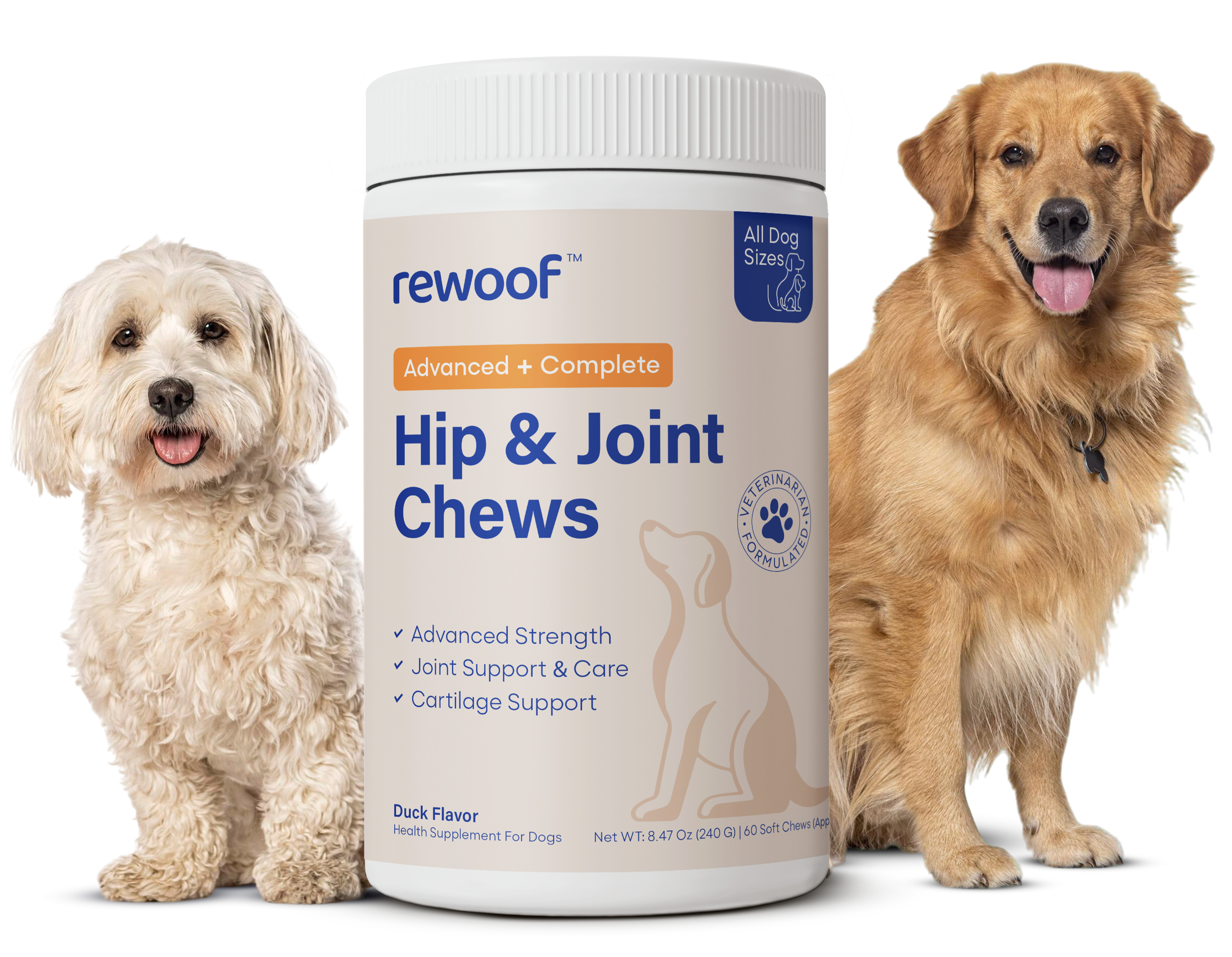 Rewoof Advanced Hip and Joint Chews jar with two dogs.