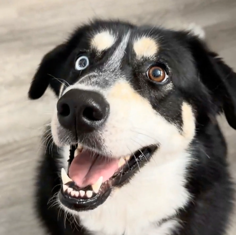 Bodhi. profile photo