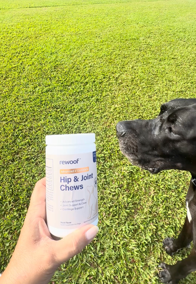 Zeus's Owner review image