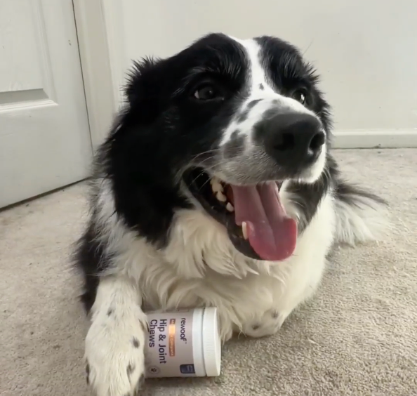 Buddy's Owner review image