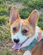 Grace profile photo